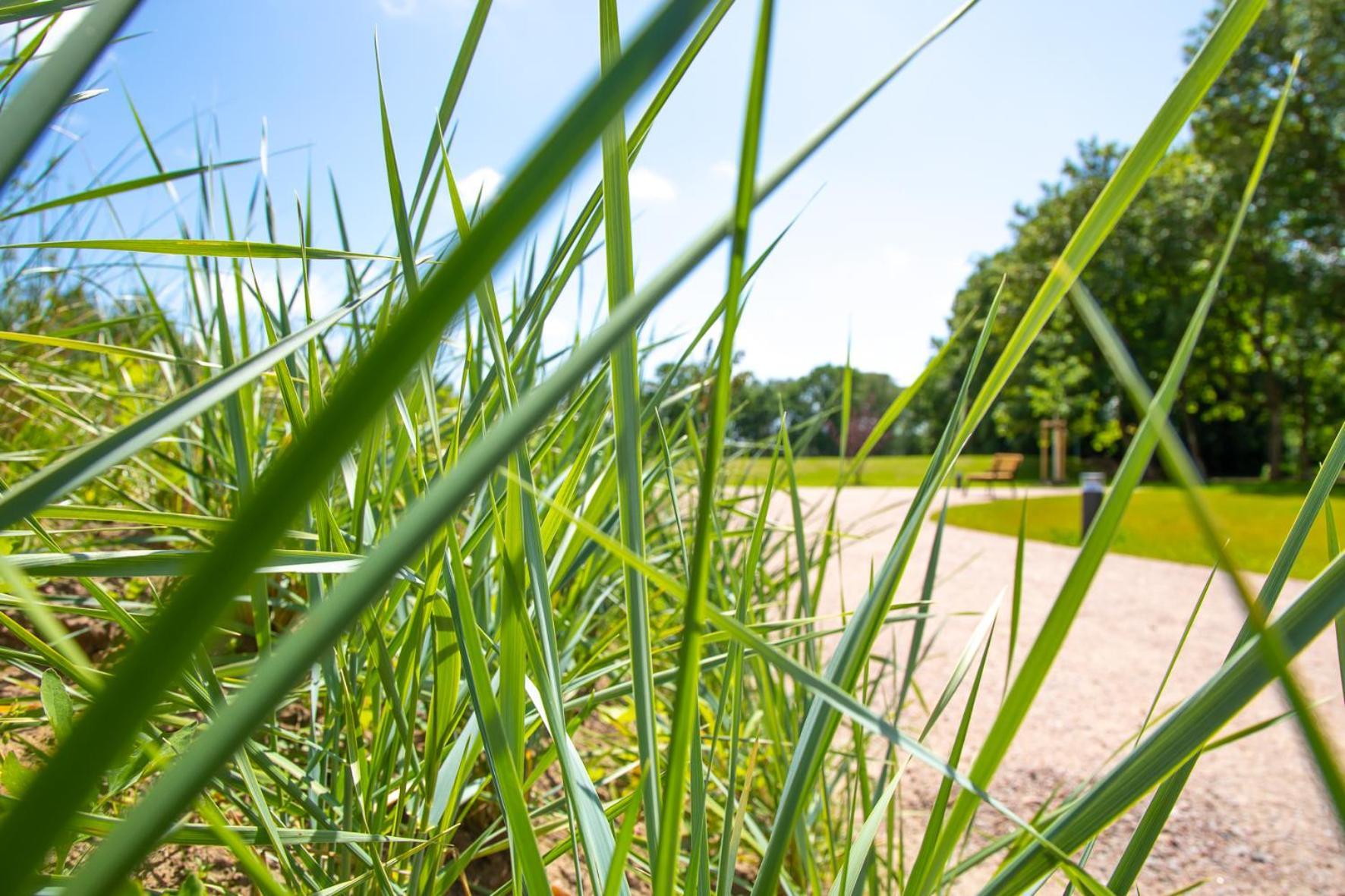 Wohnen Am Suedstrand - Ferienwohnung 0 4 Wyk auf Föhr Exteriör bild